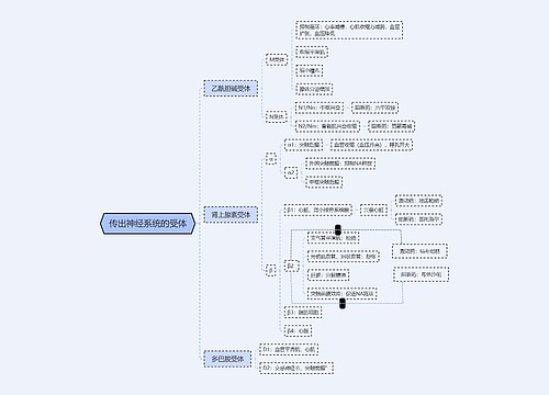 传出神经系统的受体药理知识思维导图