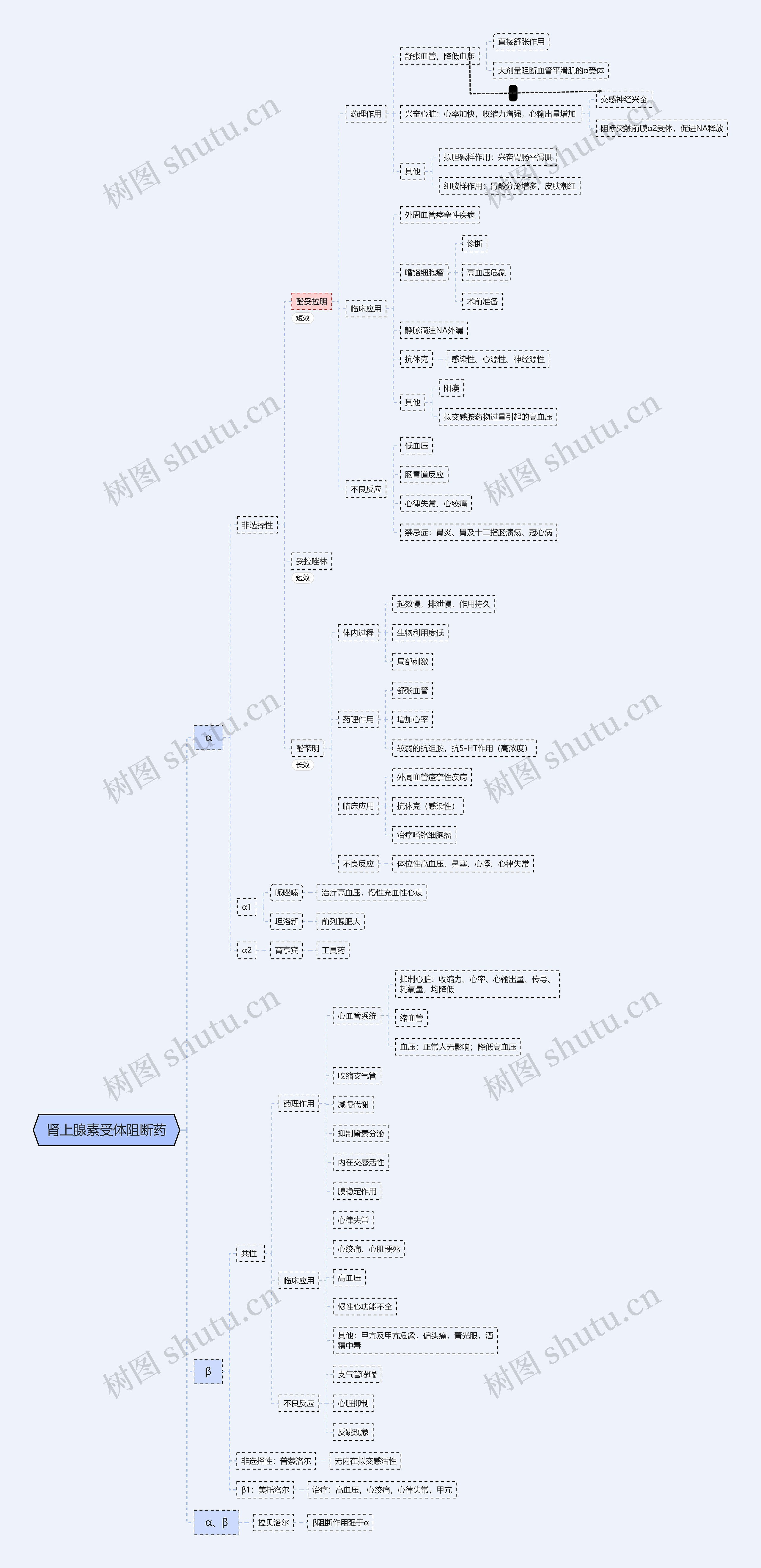 抗肾上腺素药思维导图图片