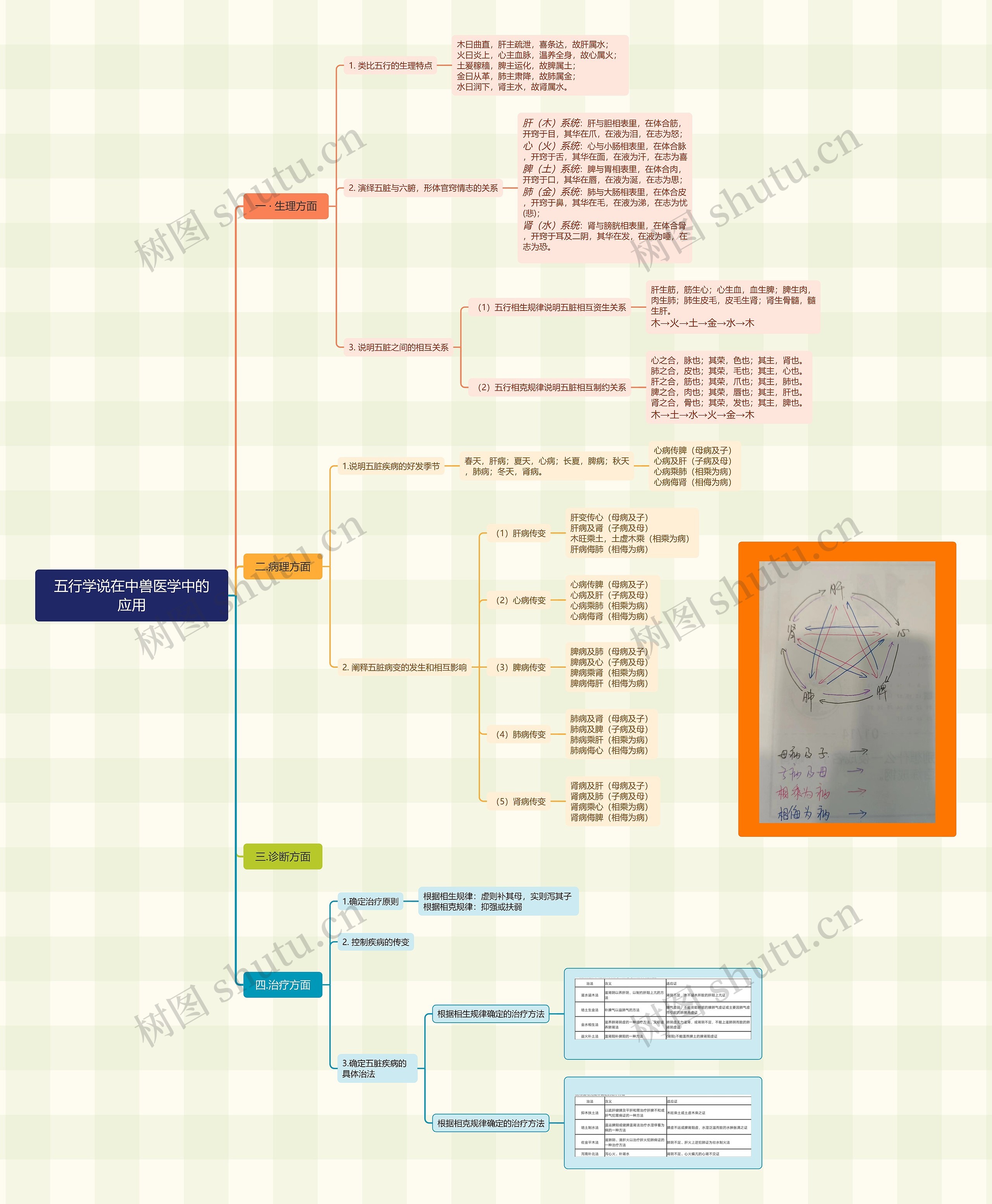 五行学说在中兽医学中的应用思维导图高清图 五行学说在中兽医学中的应用思维导图