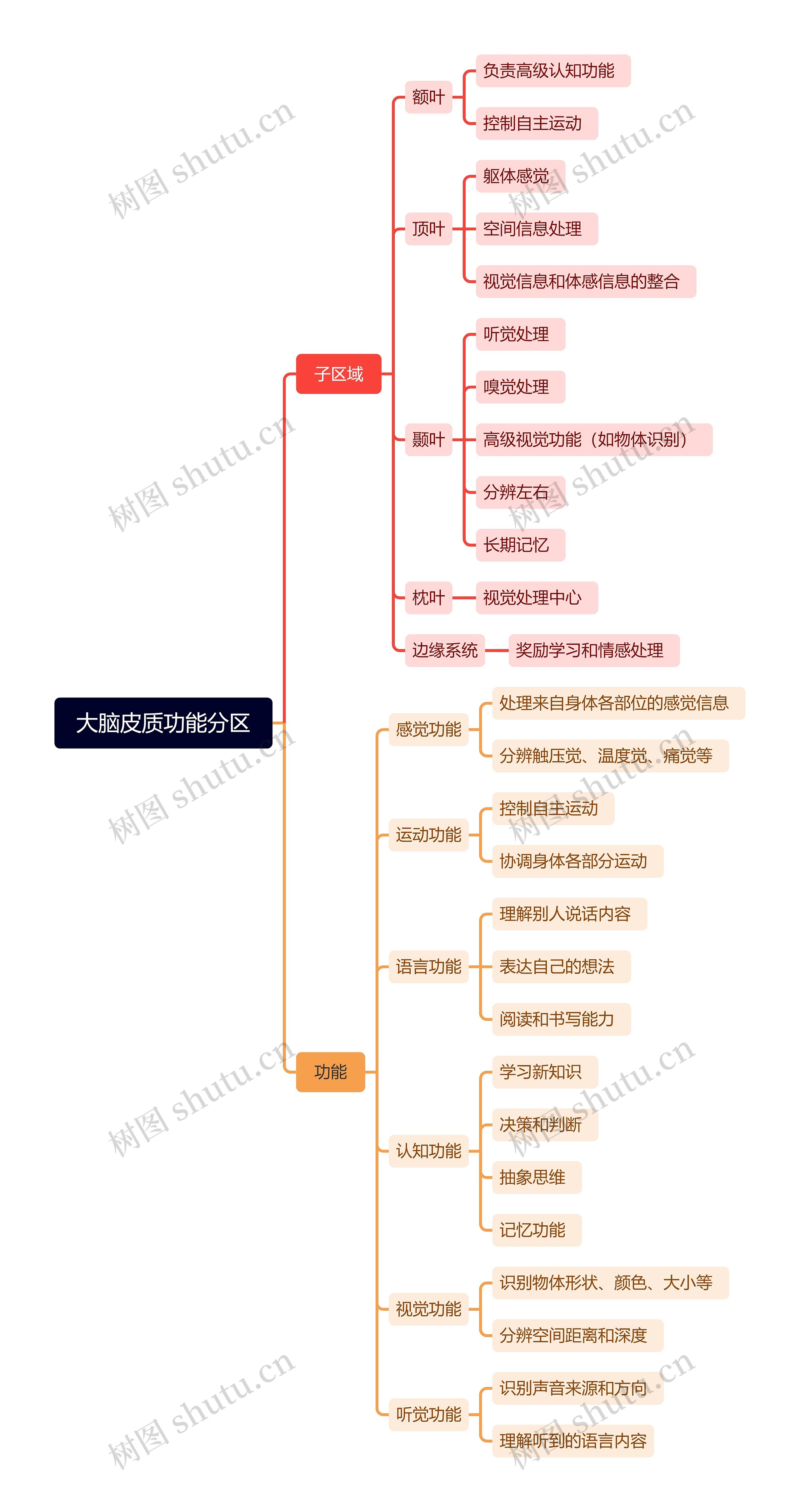 大脑皮质功能分区思维导图