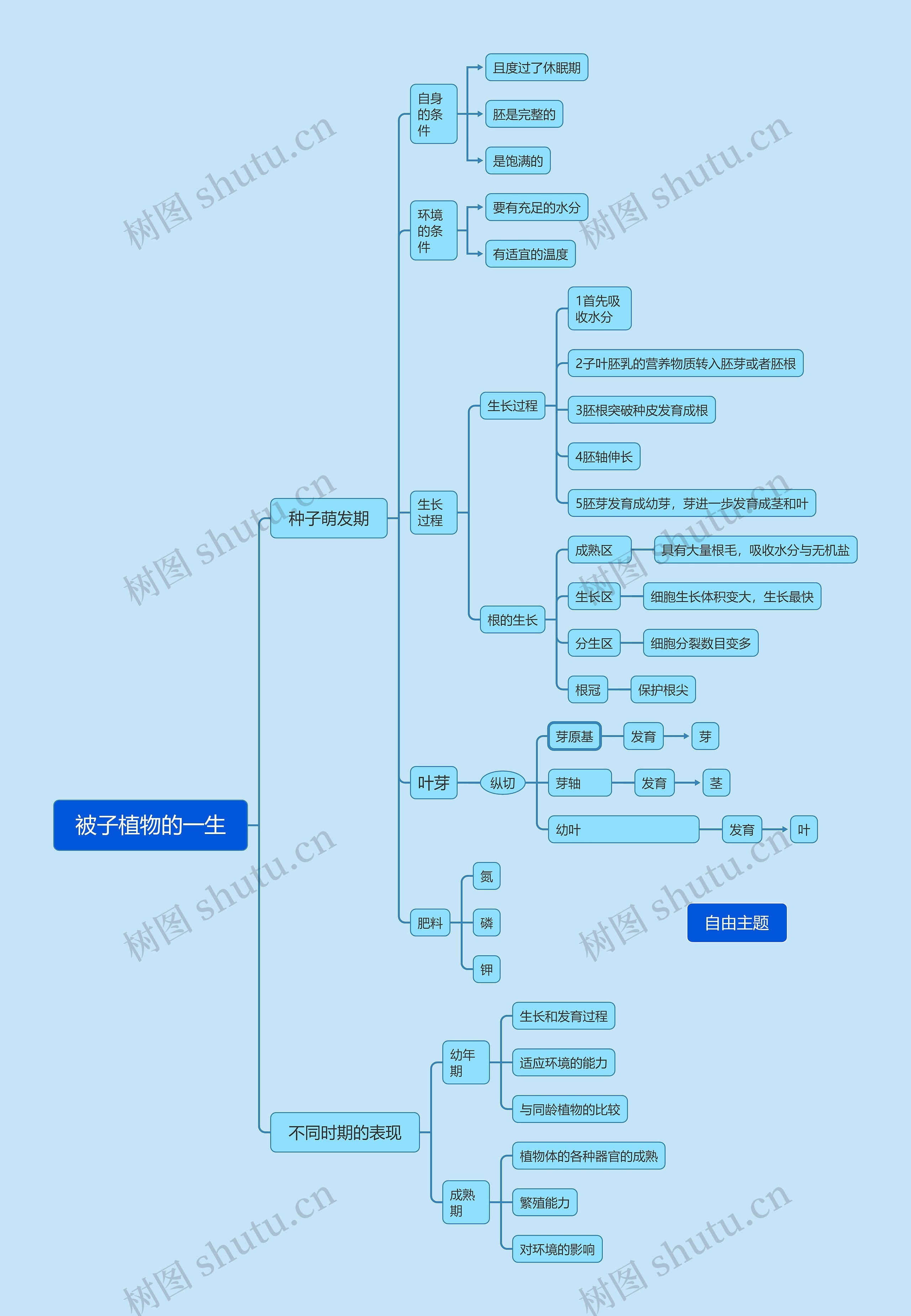 被子植物的一生思维导图