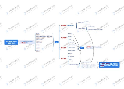 极其健康集团思维脑图思维导图