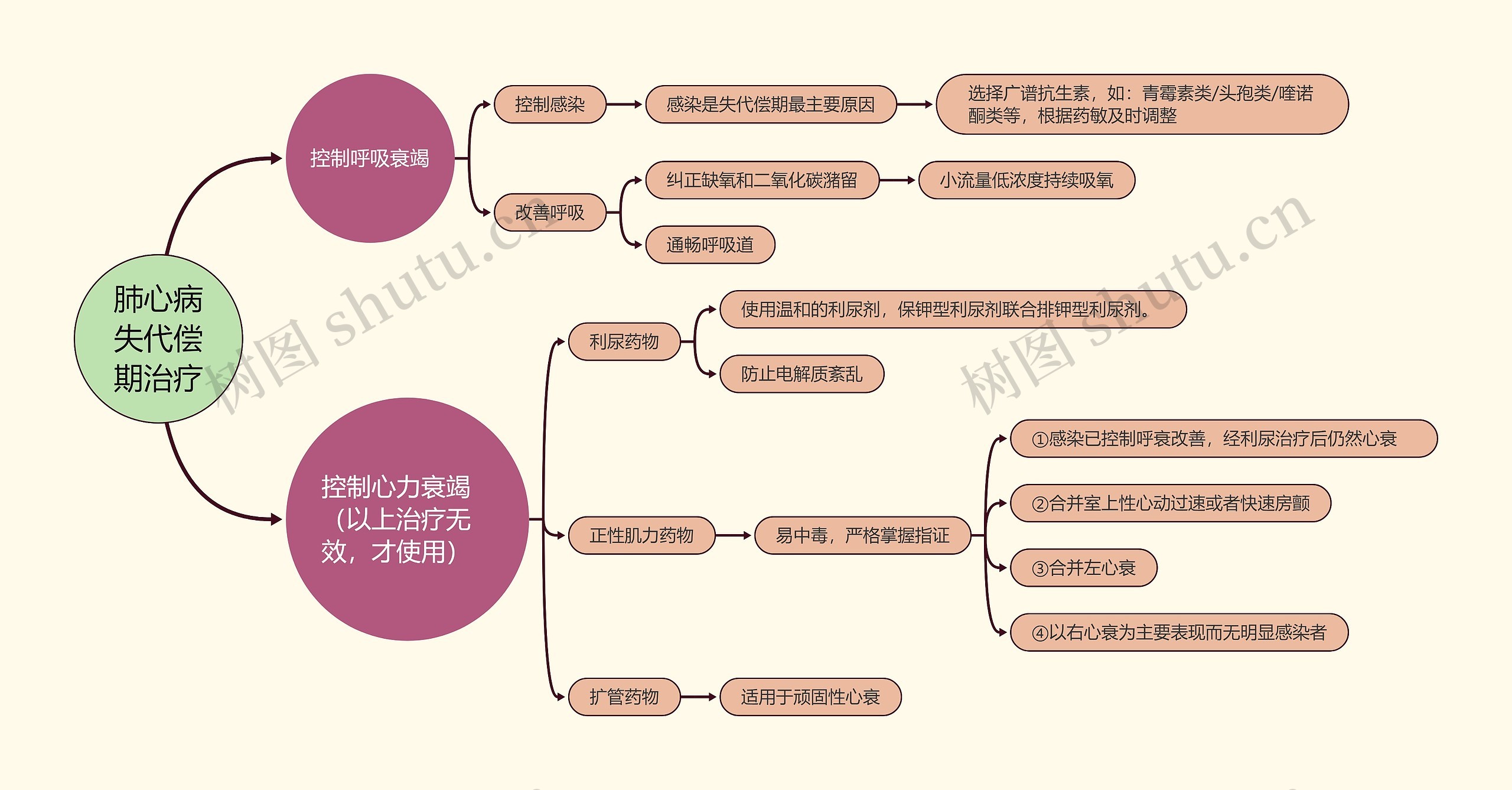 肺心病失代偿期治疗