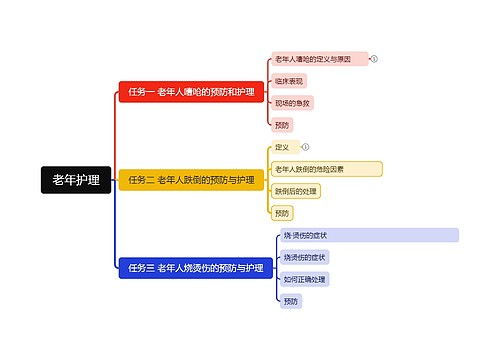 老年护理思维脑图