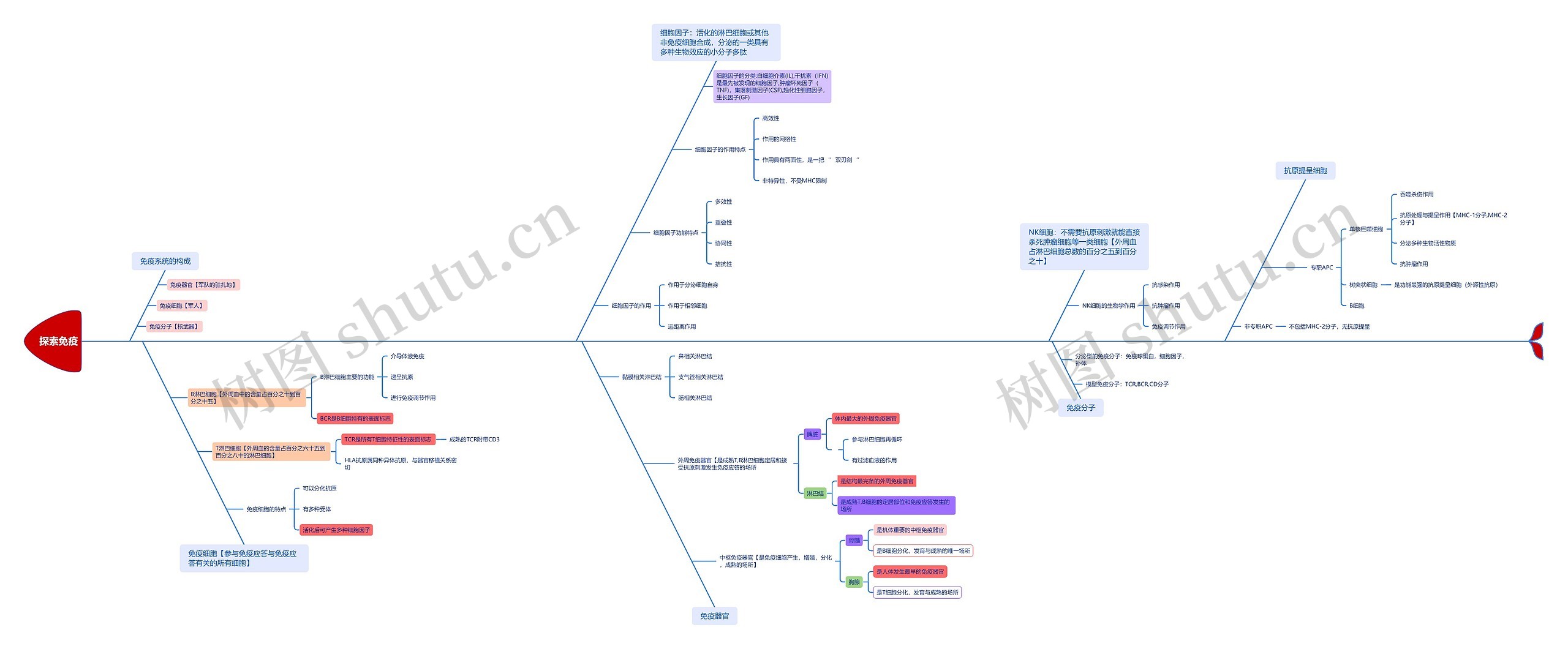 ﻿探索免疫系统思维导图