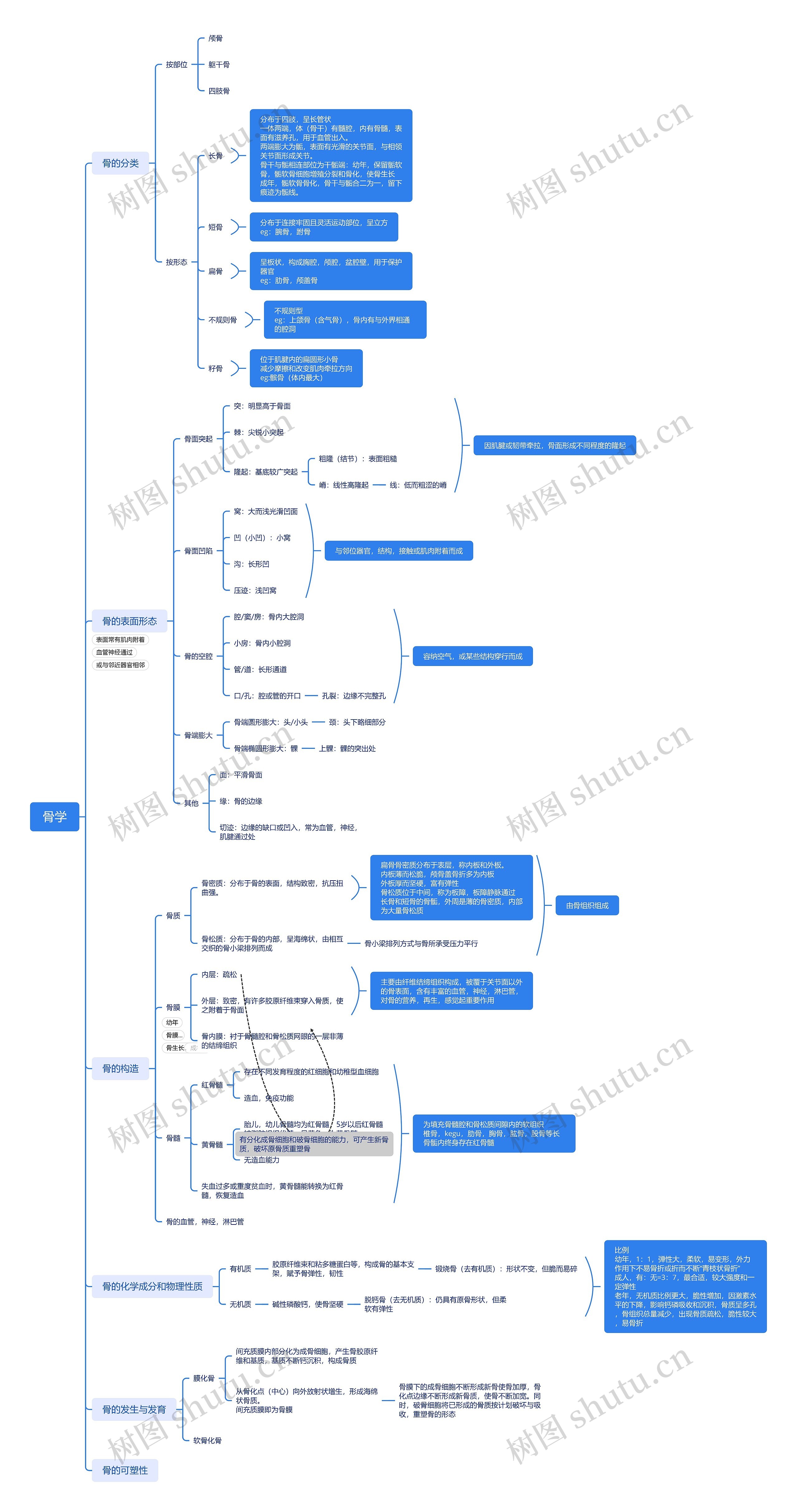骨学思维导图