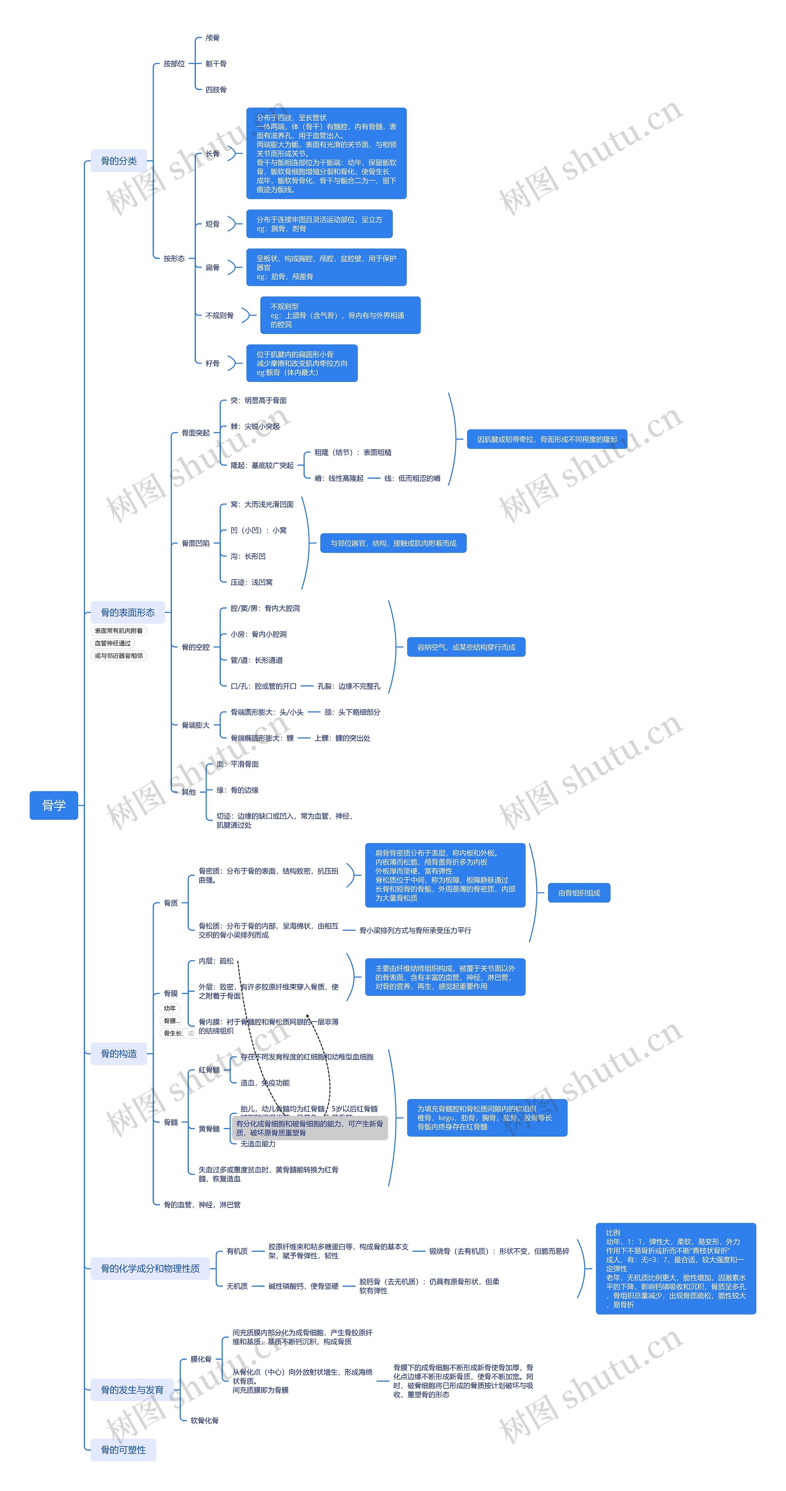 骨学思维导图高清图 骨学思维导图