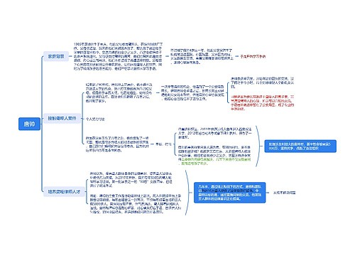 唐帅人物介绍思维导图