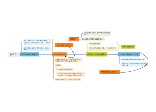 张雨霏人物介绍思维导图