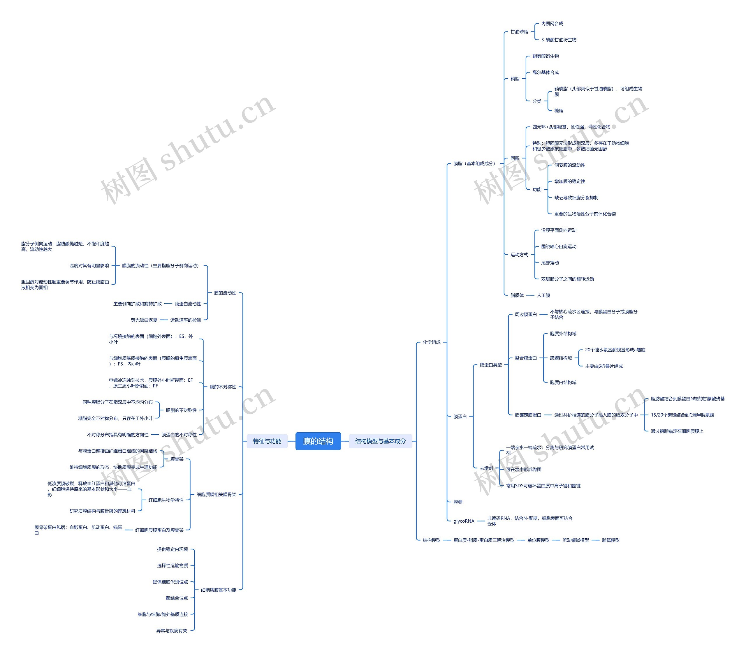 膜的结构思维导图