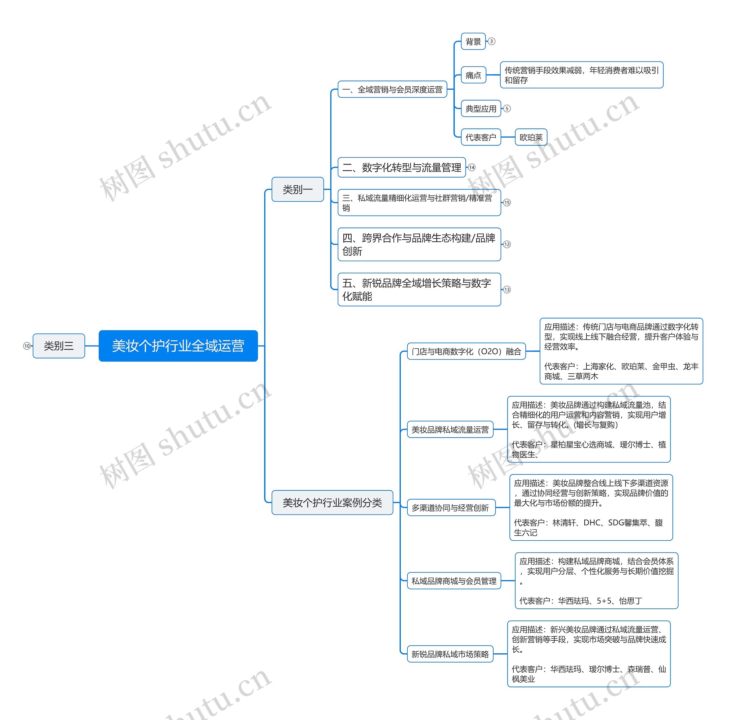 美妆个护行业全域运营思维导图
