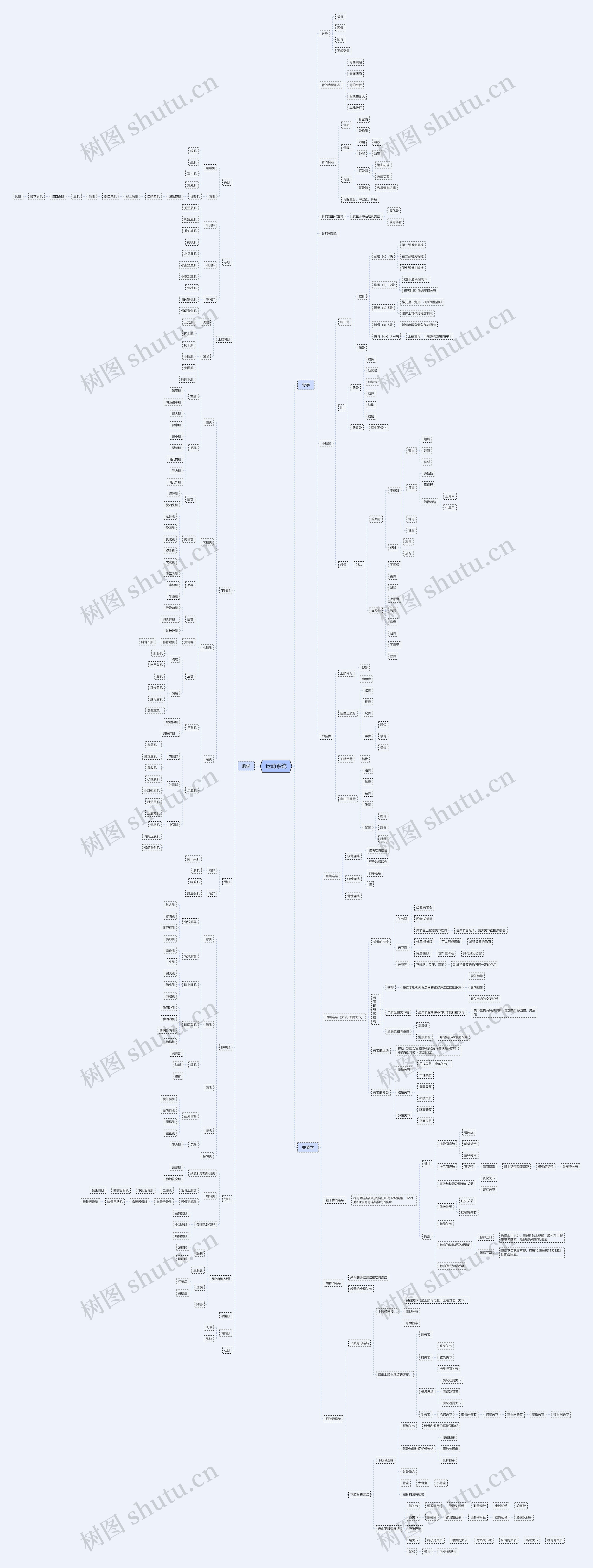 运动系统思维脑图
