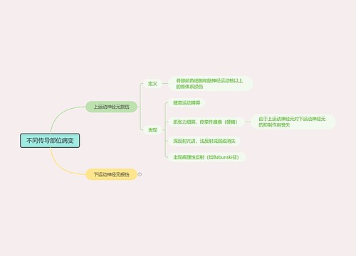 不同传导部位病变思维导图