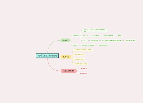 运动（下行）传导通路_副本思维导图