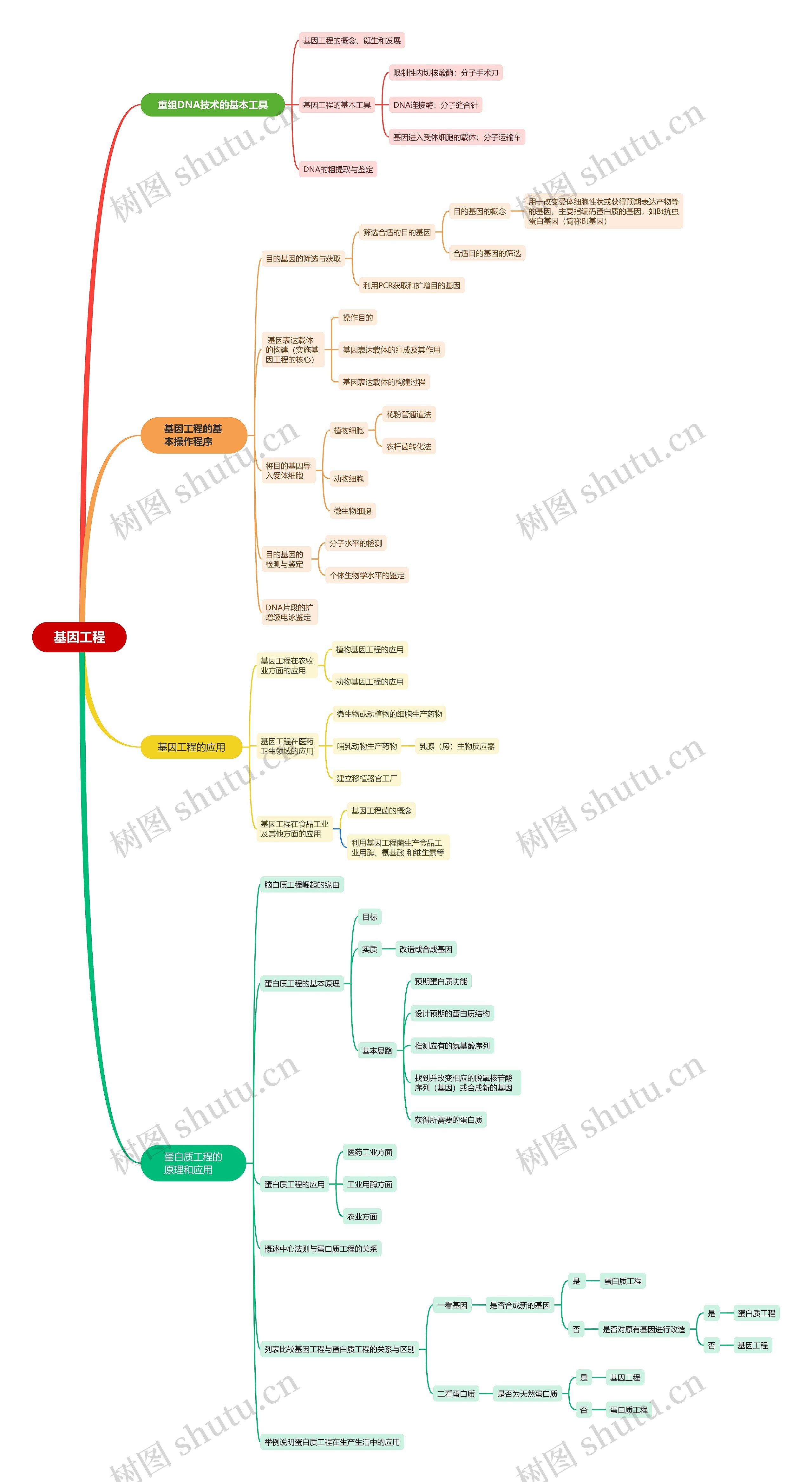 基因工程思维导图