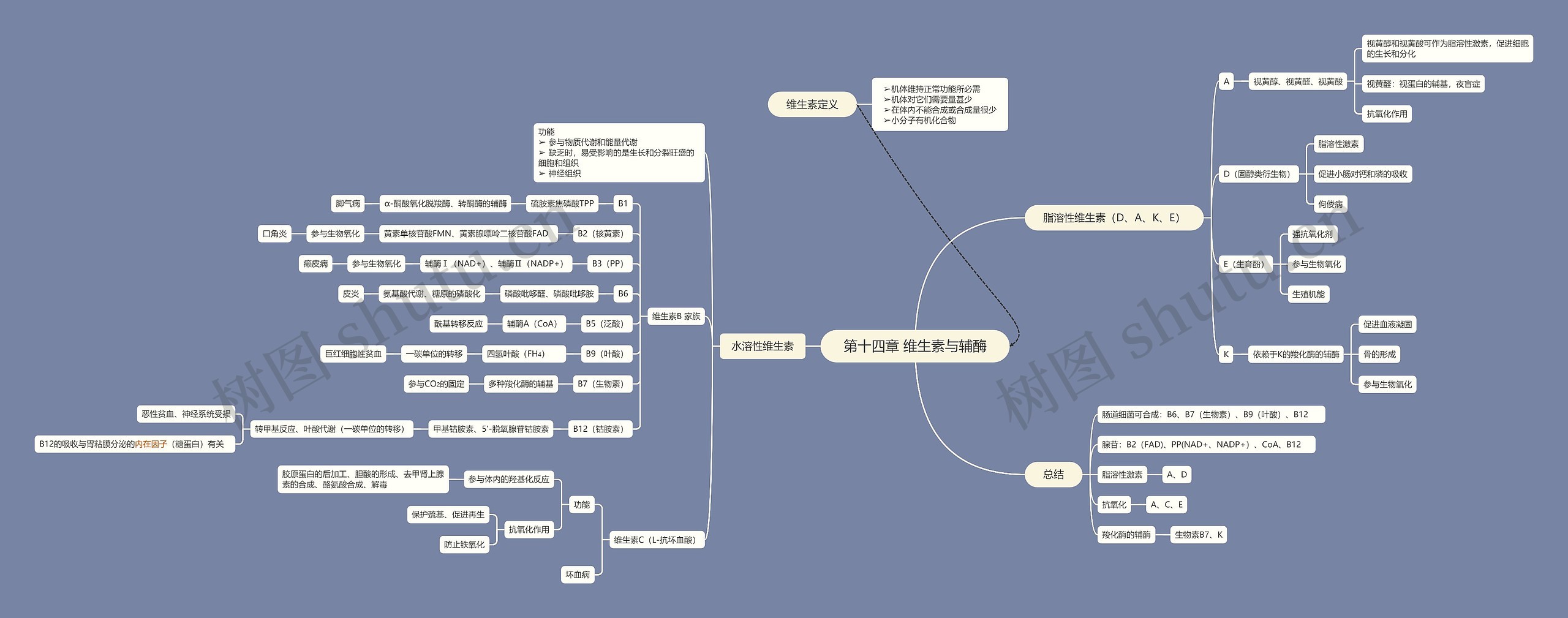 维生素与辅酶思维脑图