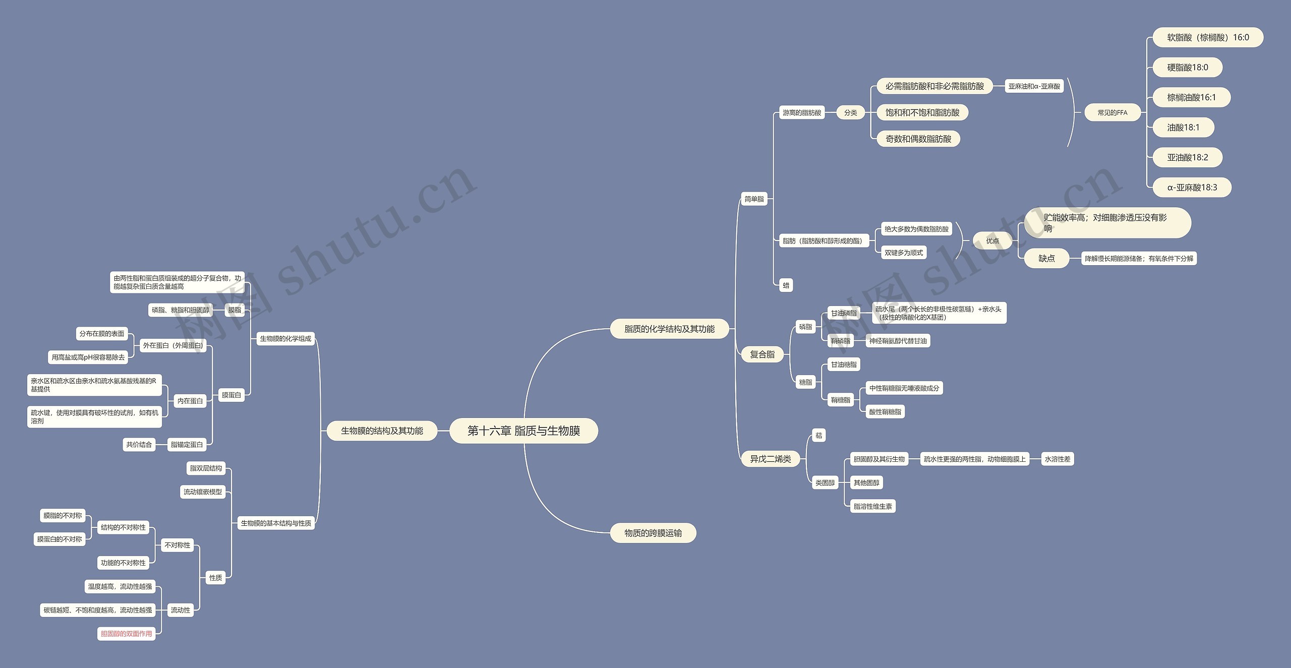 脂质与生物膜思维脑图