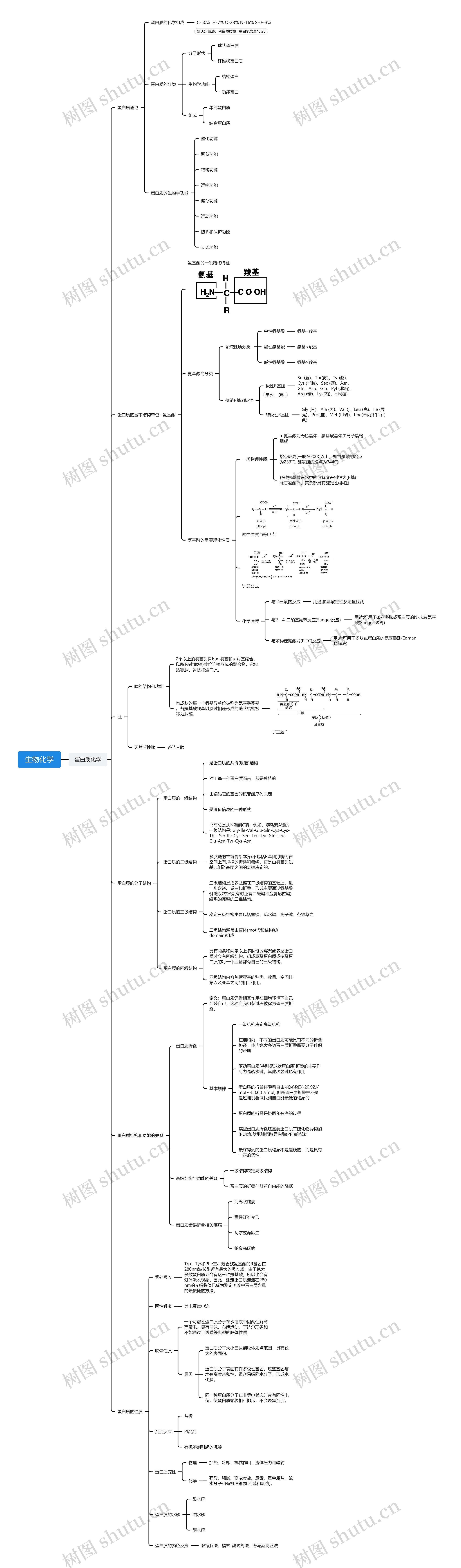 生物化学思维导图