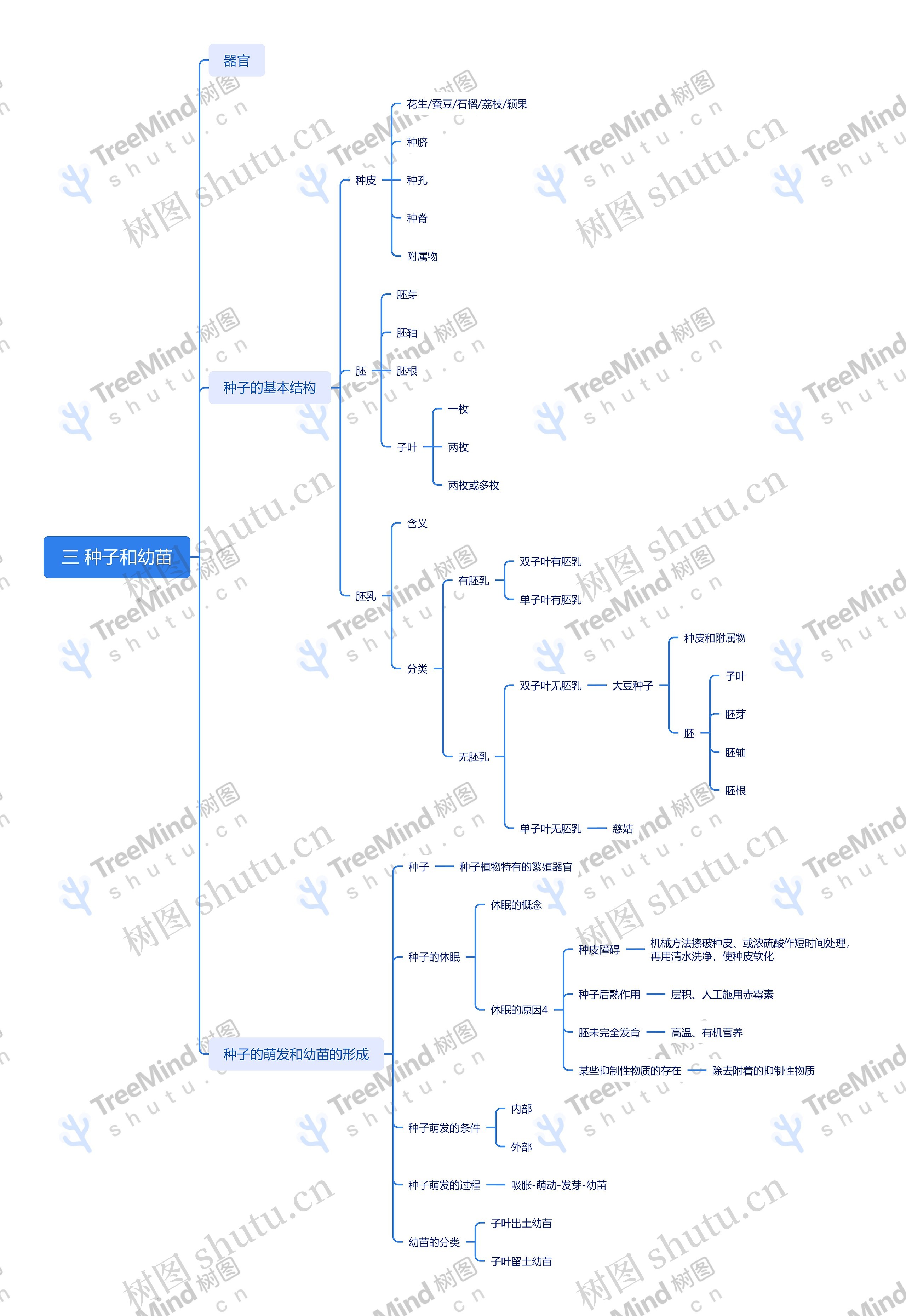 种子和幼苗思维脑图