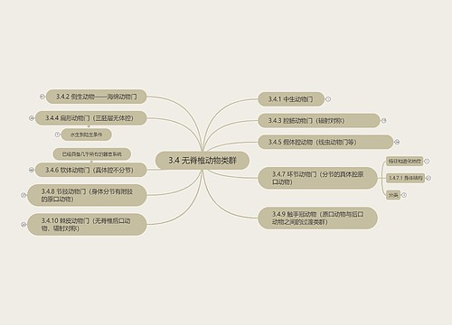 无脊椎动物类群思维导图