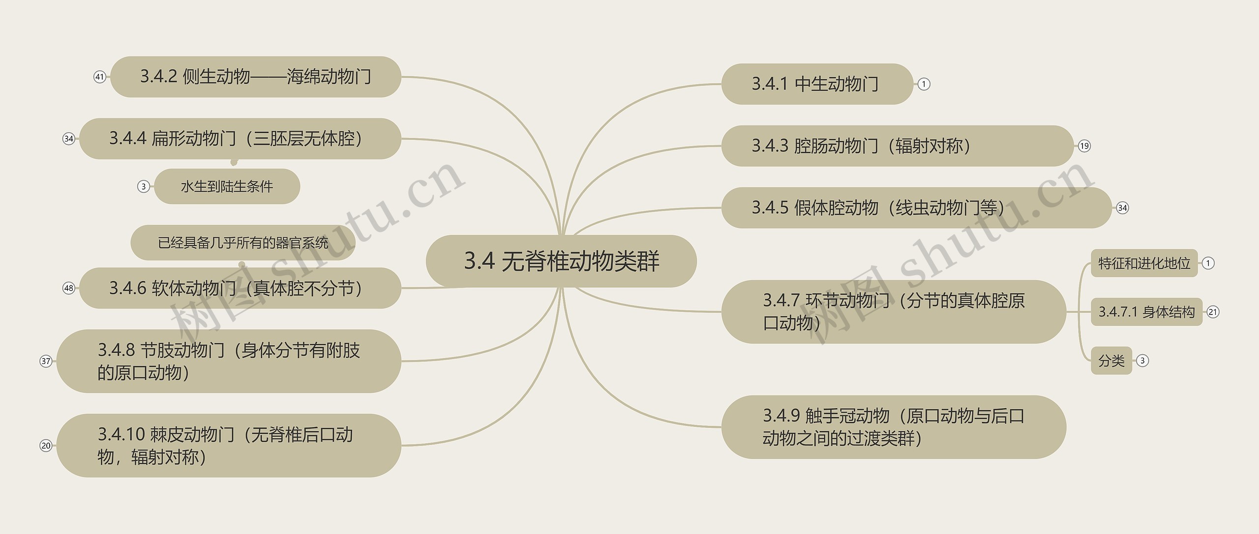 无脊椎动物类群