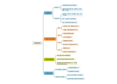 大脑结构思维脑图思维导图