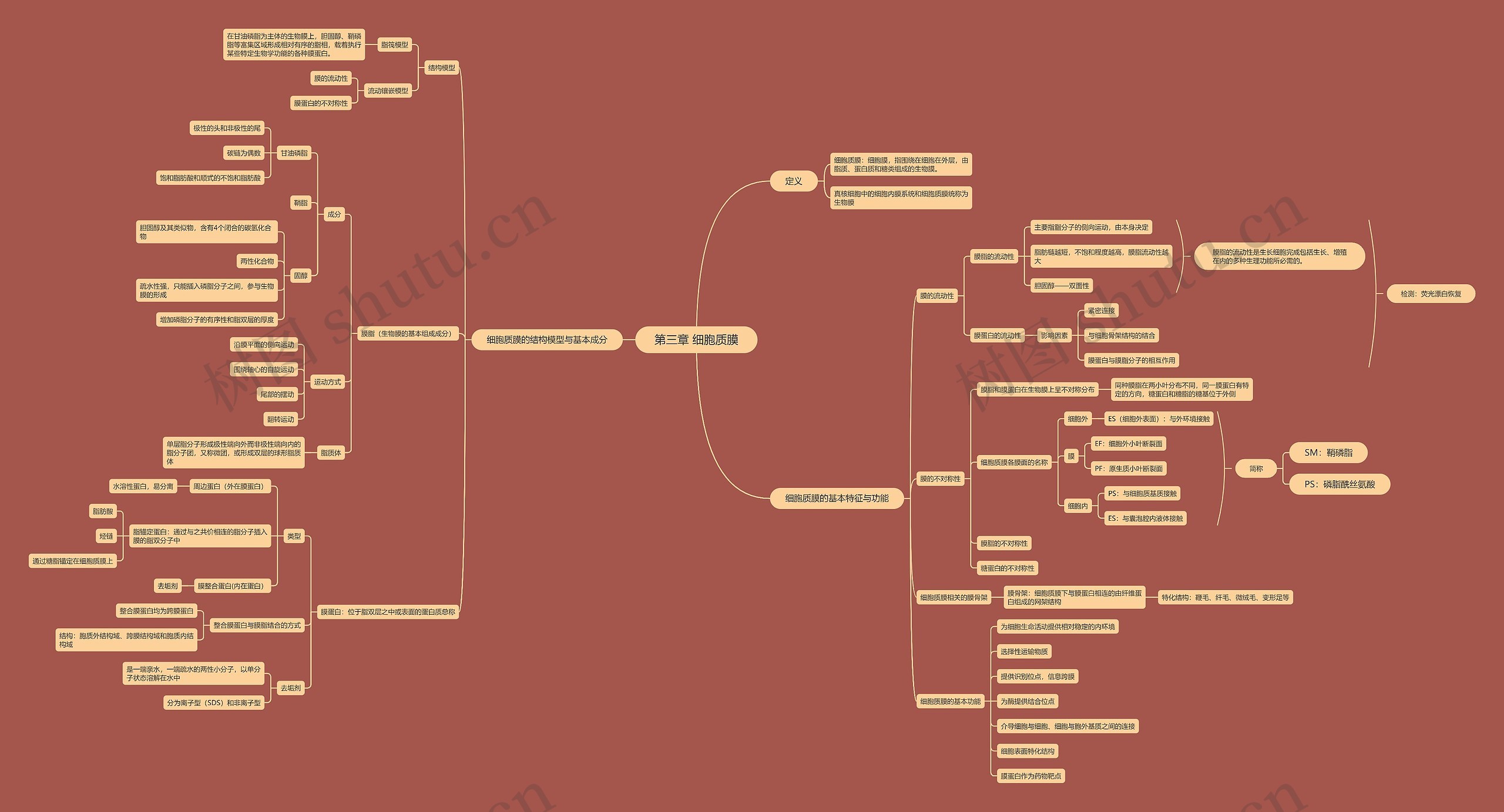 细胞质膜思维导图高清图 细胞质膜思维导图