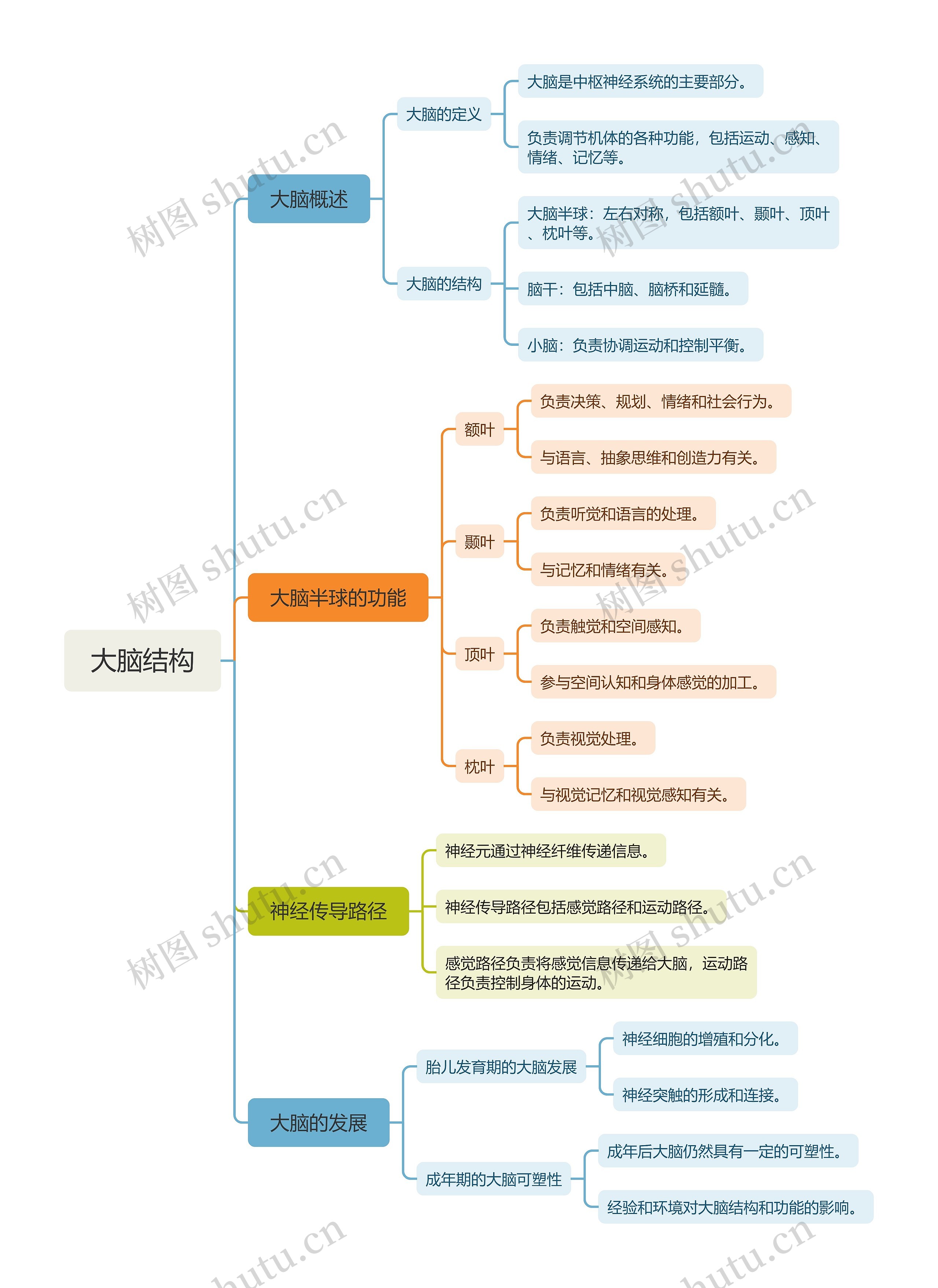 大脑结构思维脑图
