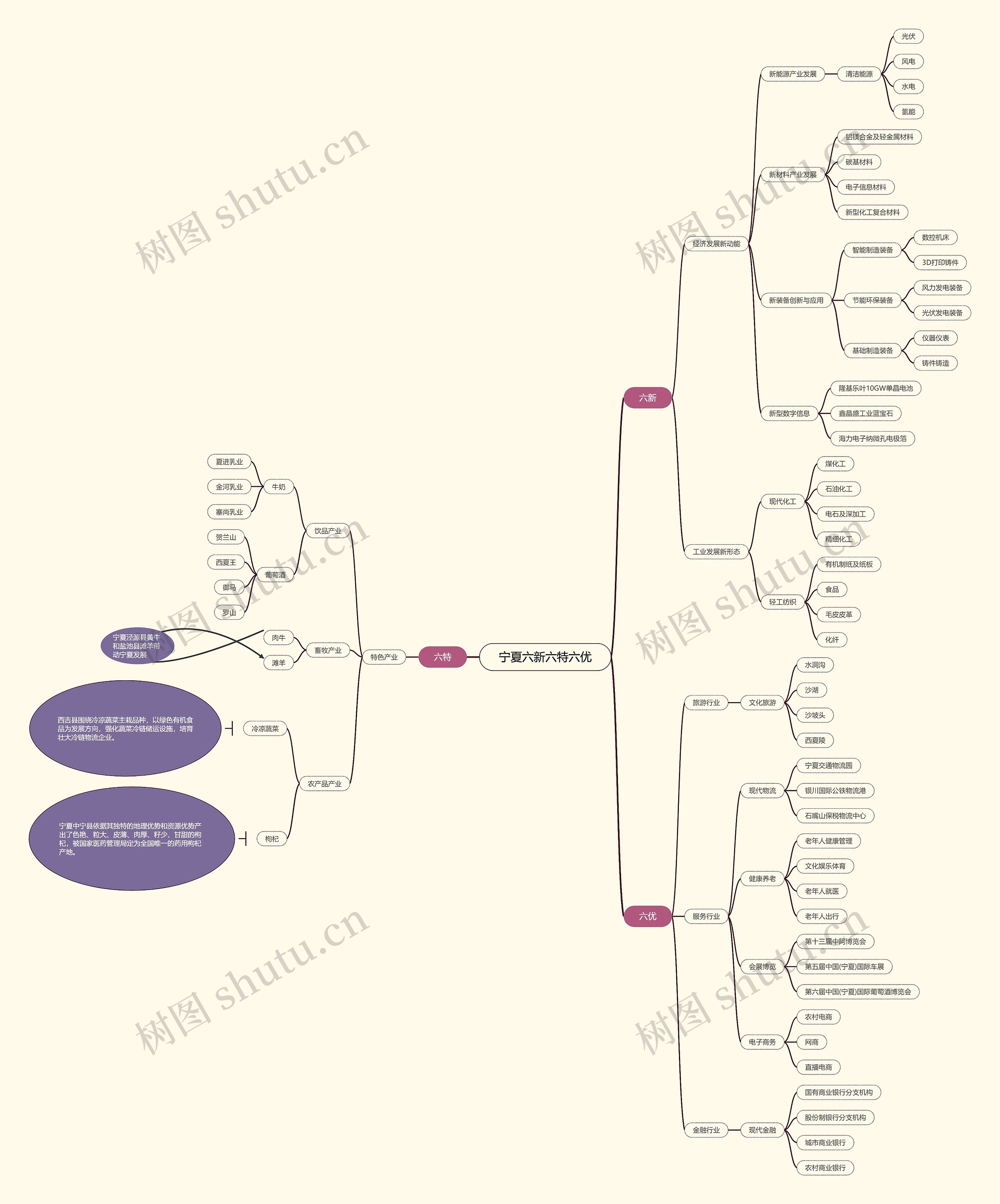 宁夏六新六特六优思维导图