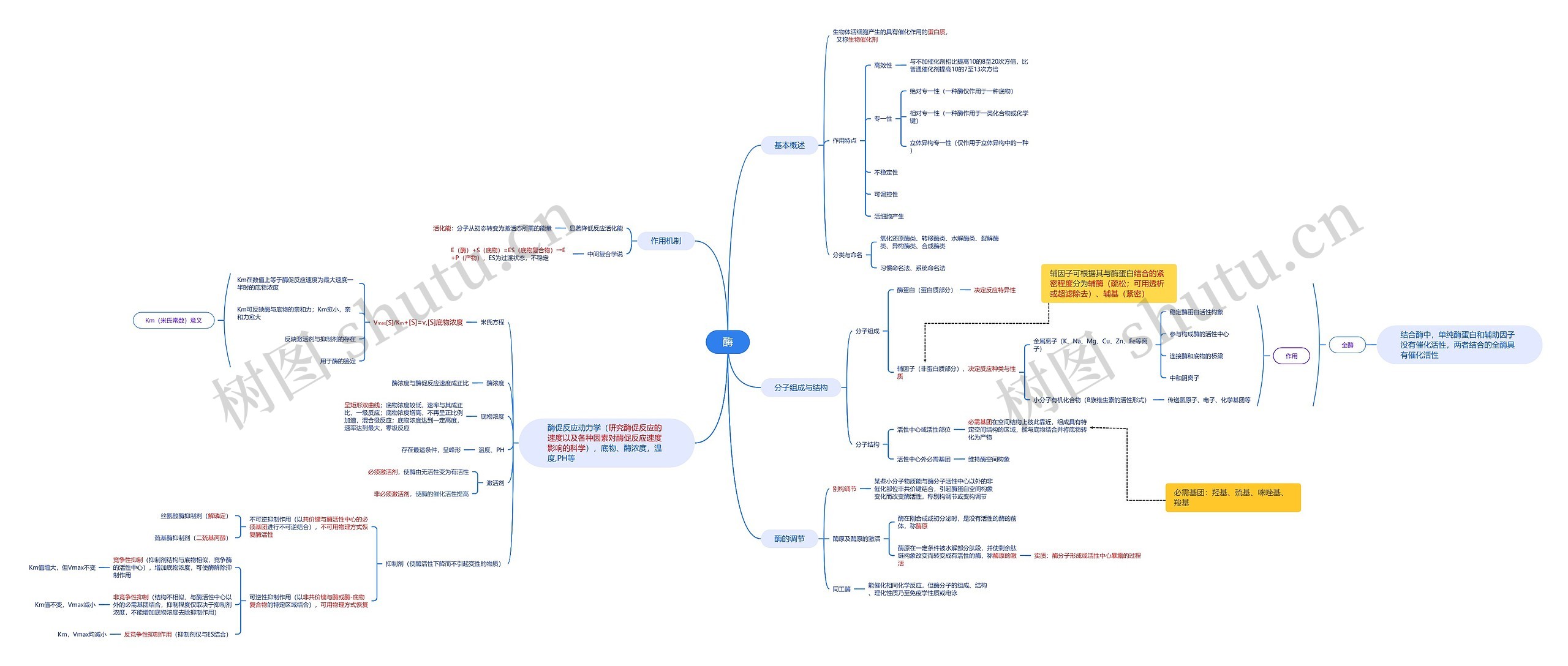 酶的基础知识思维导图