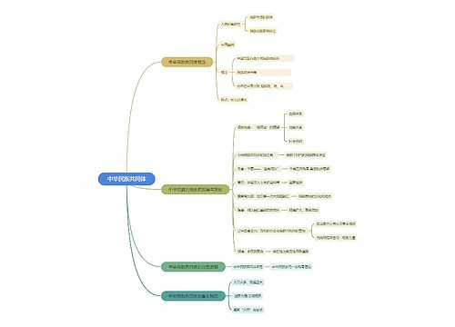 中华民族共同体思维脑图思维导图