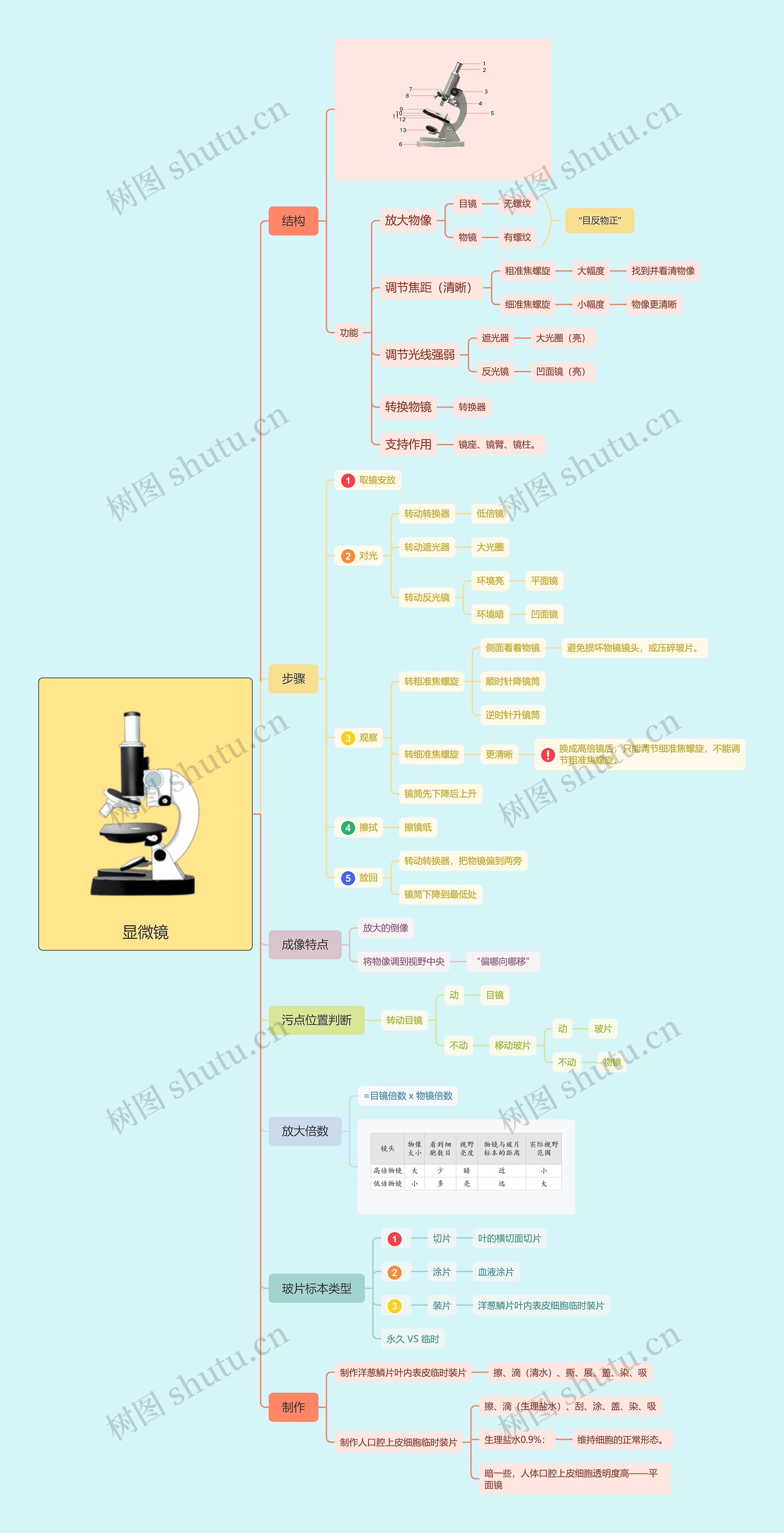 显微镜思维脑图