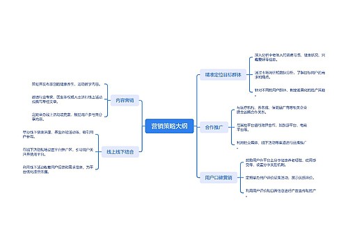 营销策略大纲