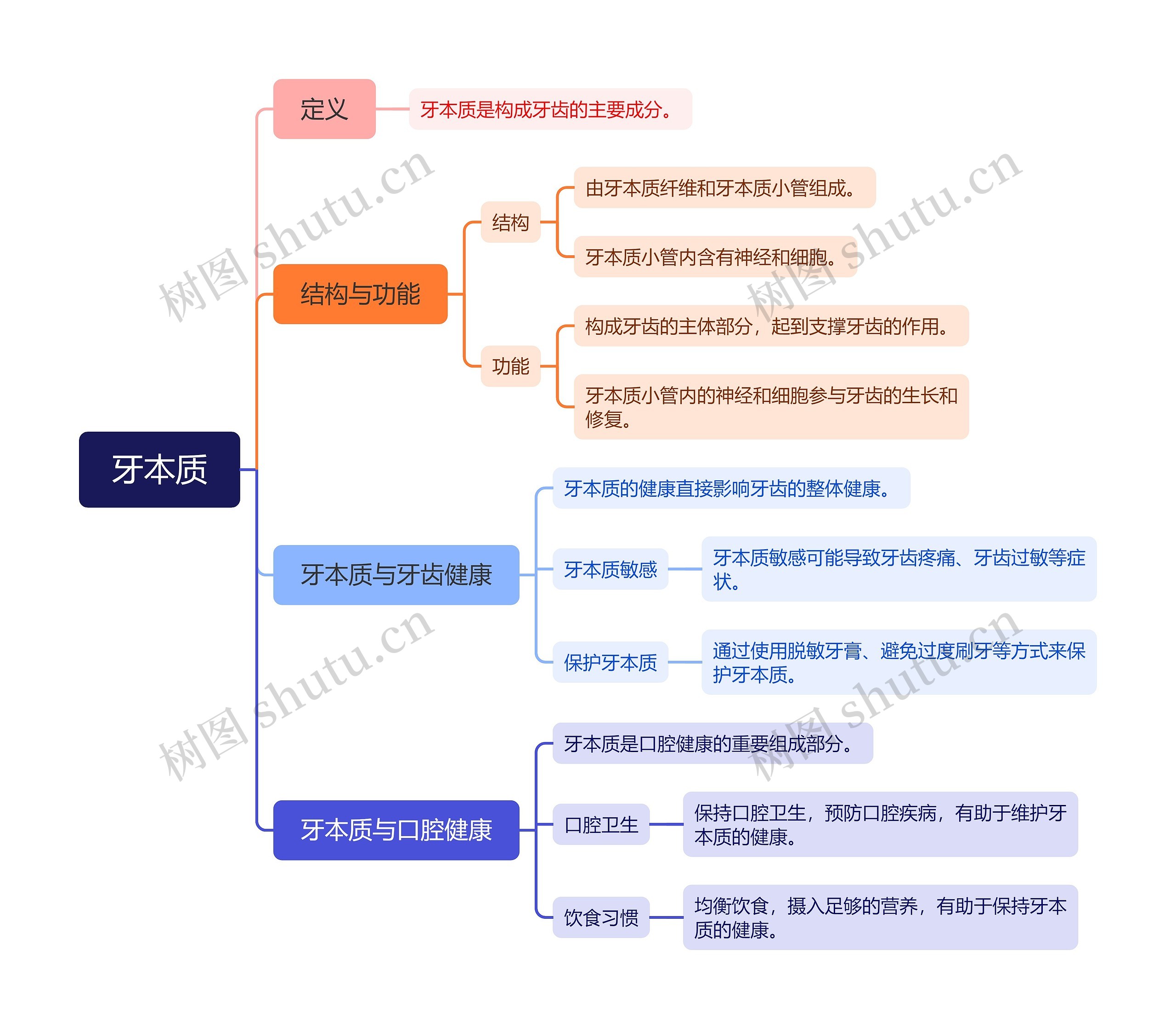 牙本质思维脑图