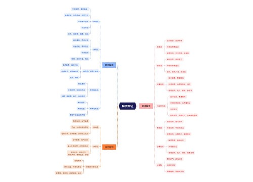 解表辩证思维脑图思维导图