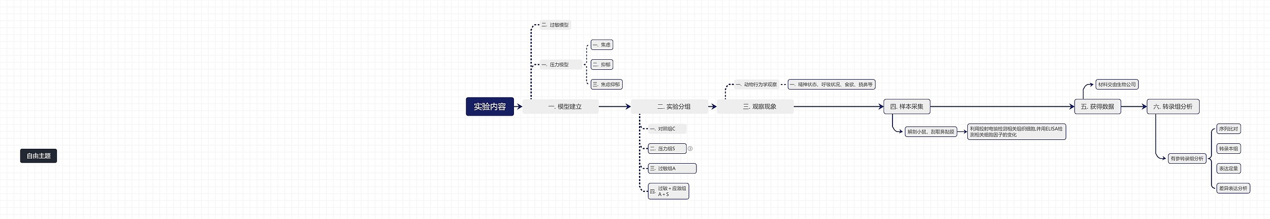 实验内容思维脑图