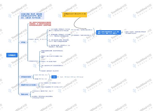 生物氧化思维脑图