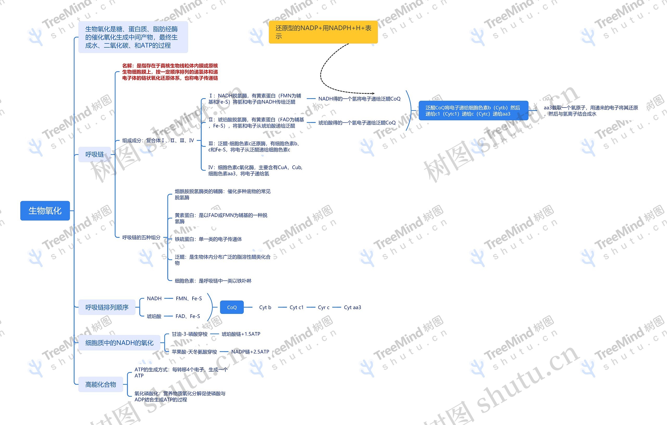 生物氧化思维导图