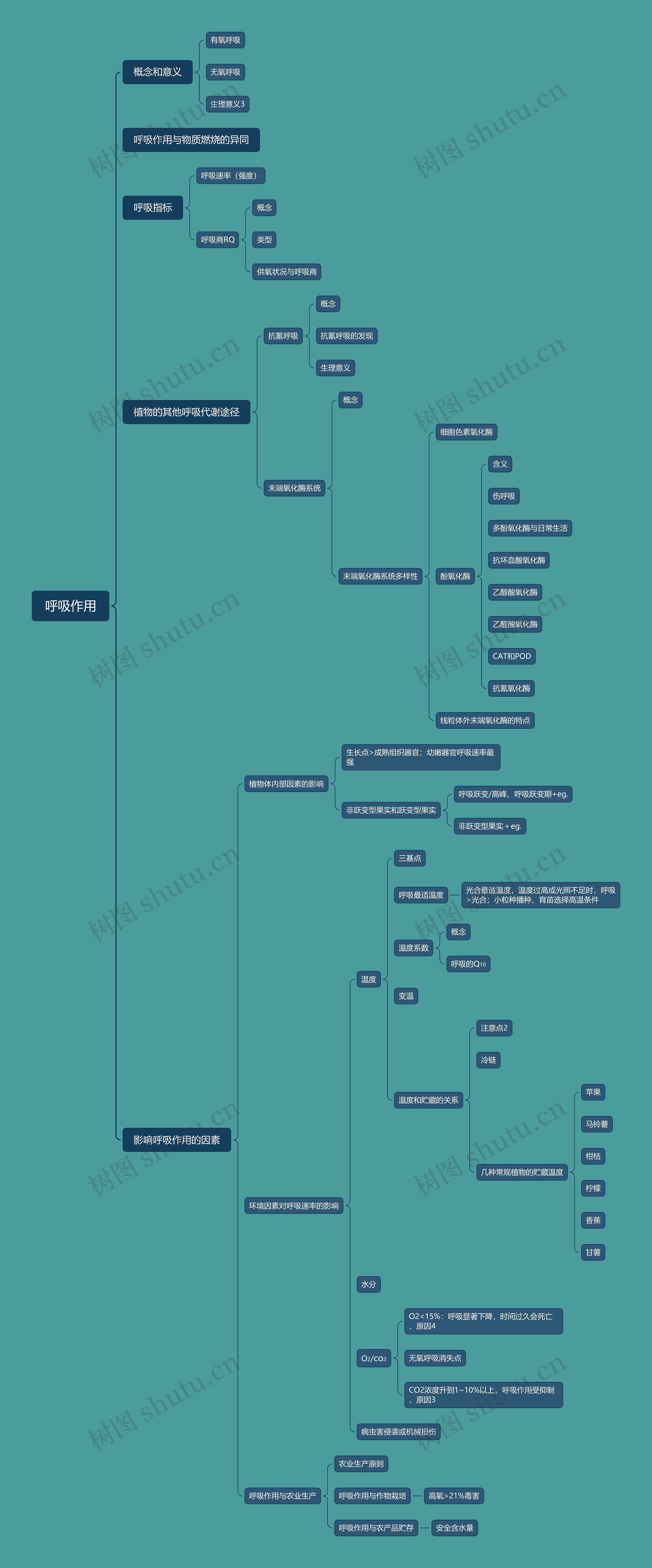 ﻿呼吸作用思维脑图