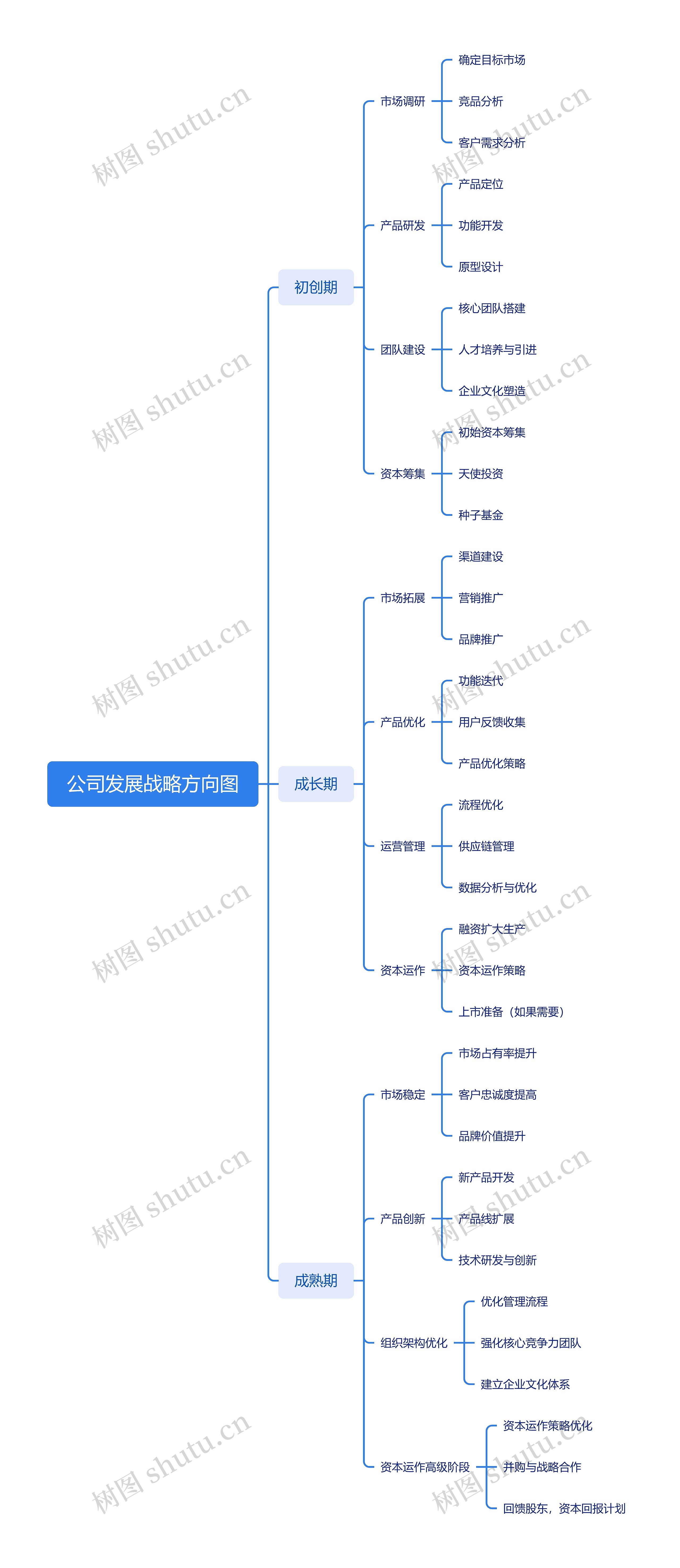 公司发展战略方向图思维导图