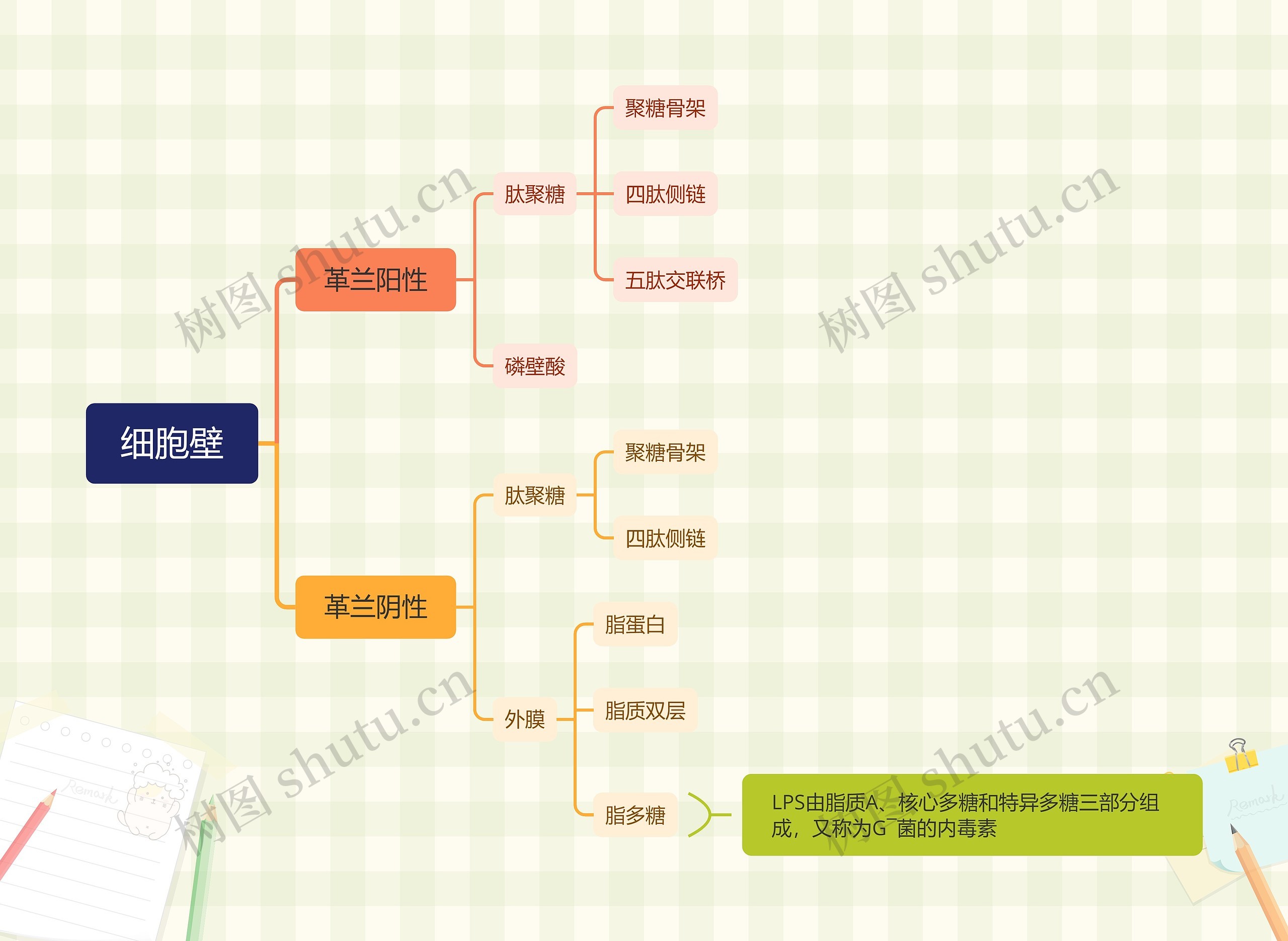 细胞壁思维导图高清图 细胞壁思维导图