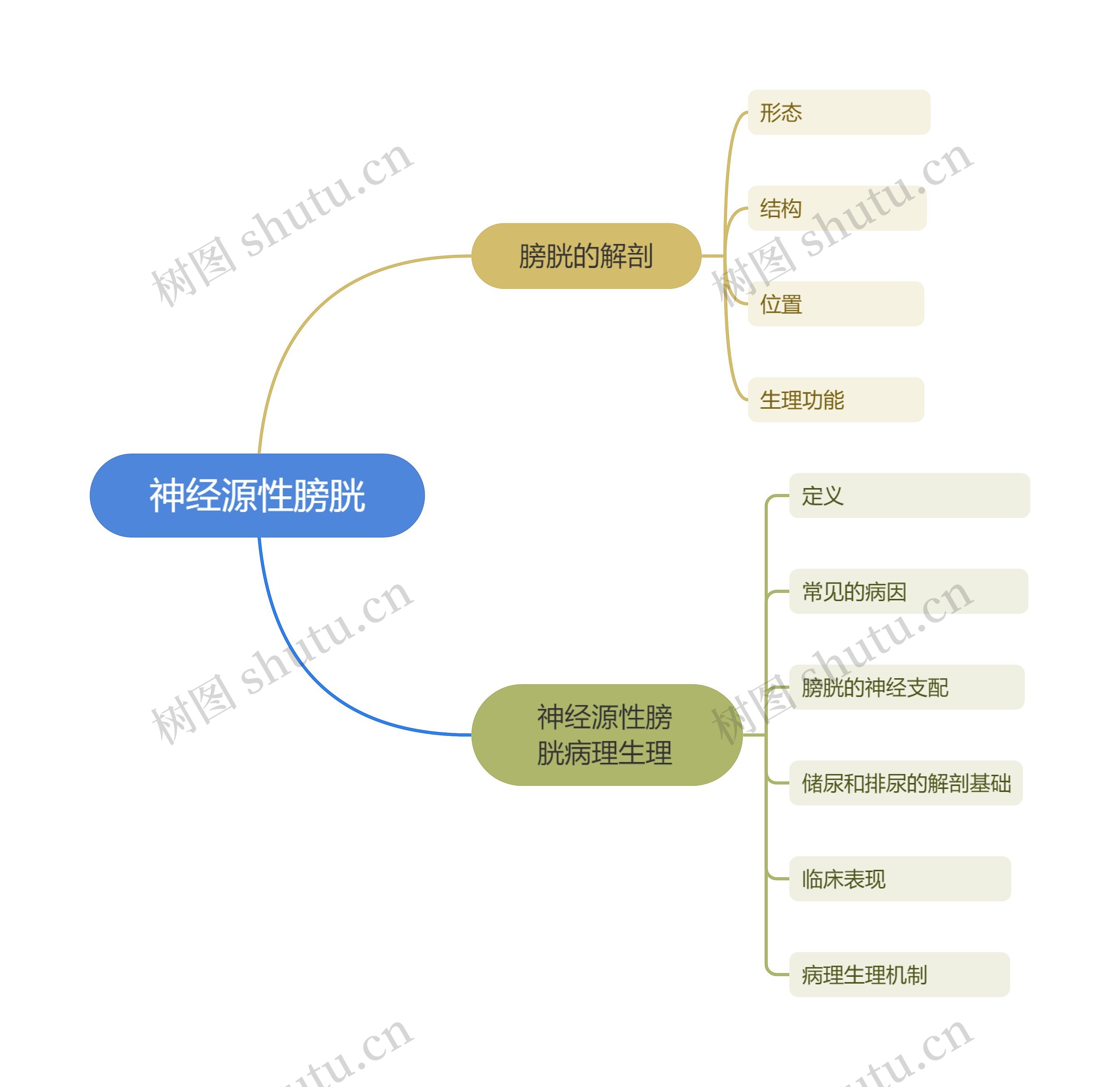 神经源性膀胱思维导图