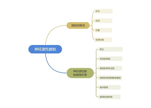 神经源性膀胱思维导图