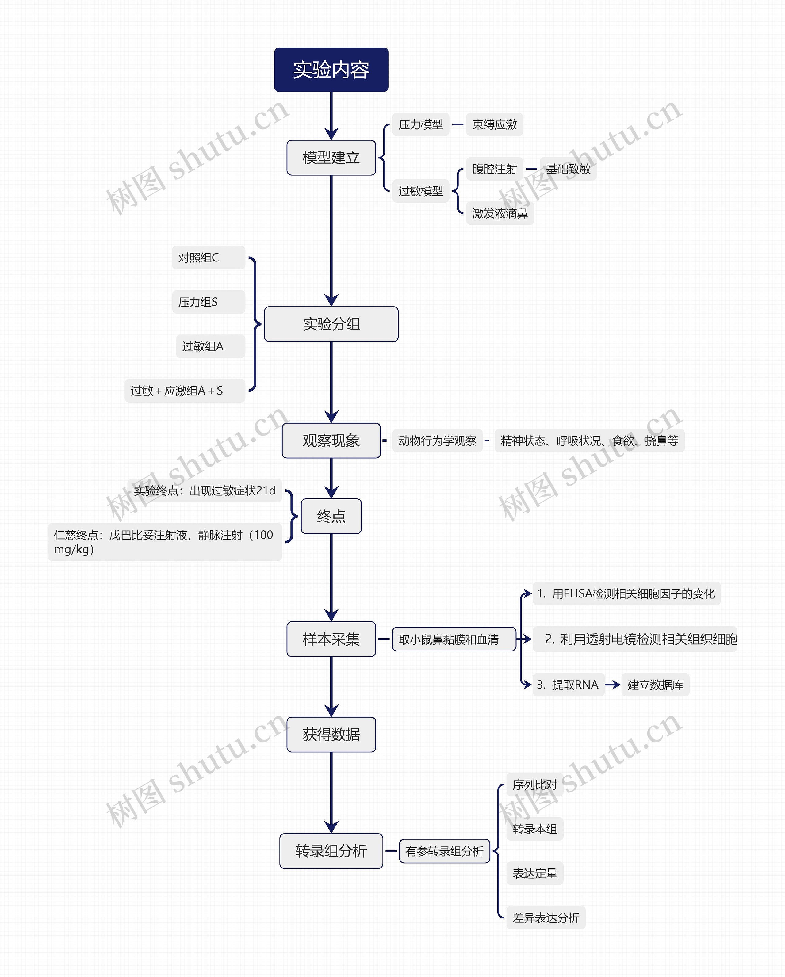 实验内容思维导图