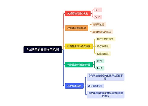 Per基因的抑癌作用机制