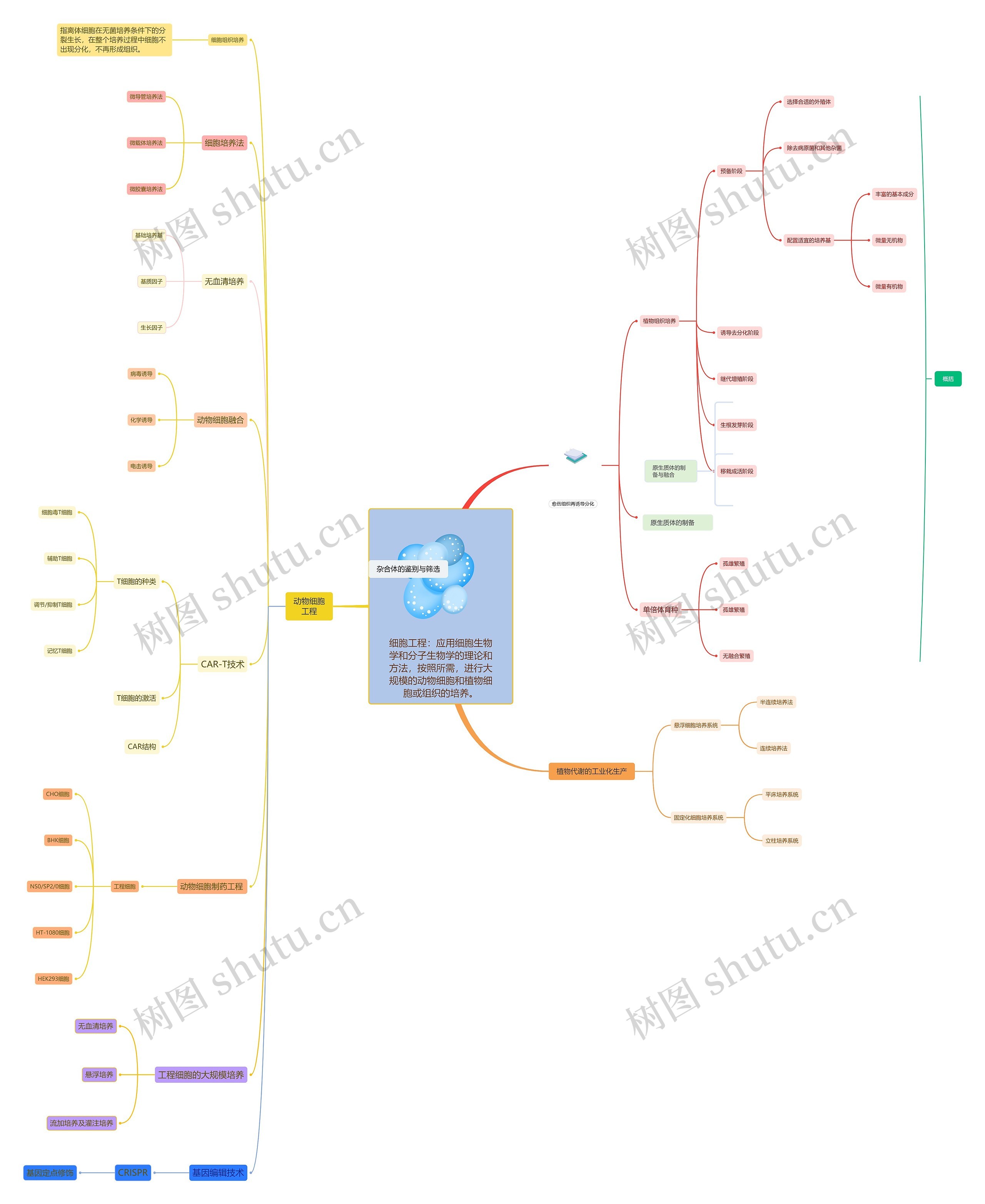 细胞工程：应用细胞生物学和分子生物学的理论和方法，按照所需，进行大规模的动物细胞和植物细胞或组织的培养。