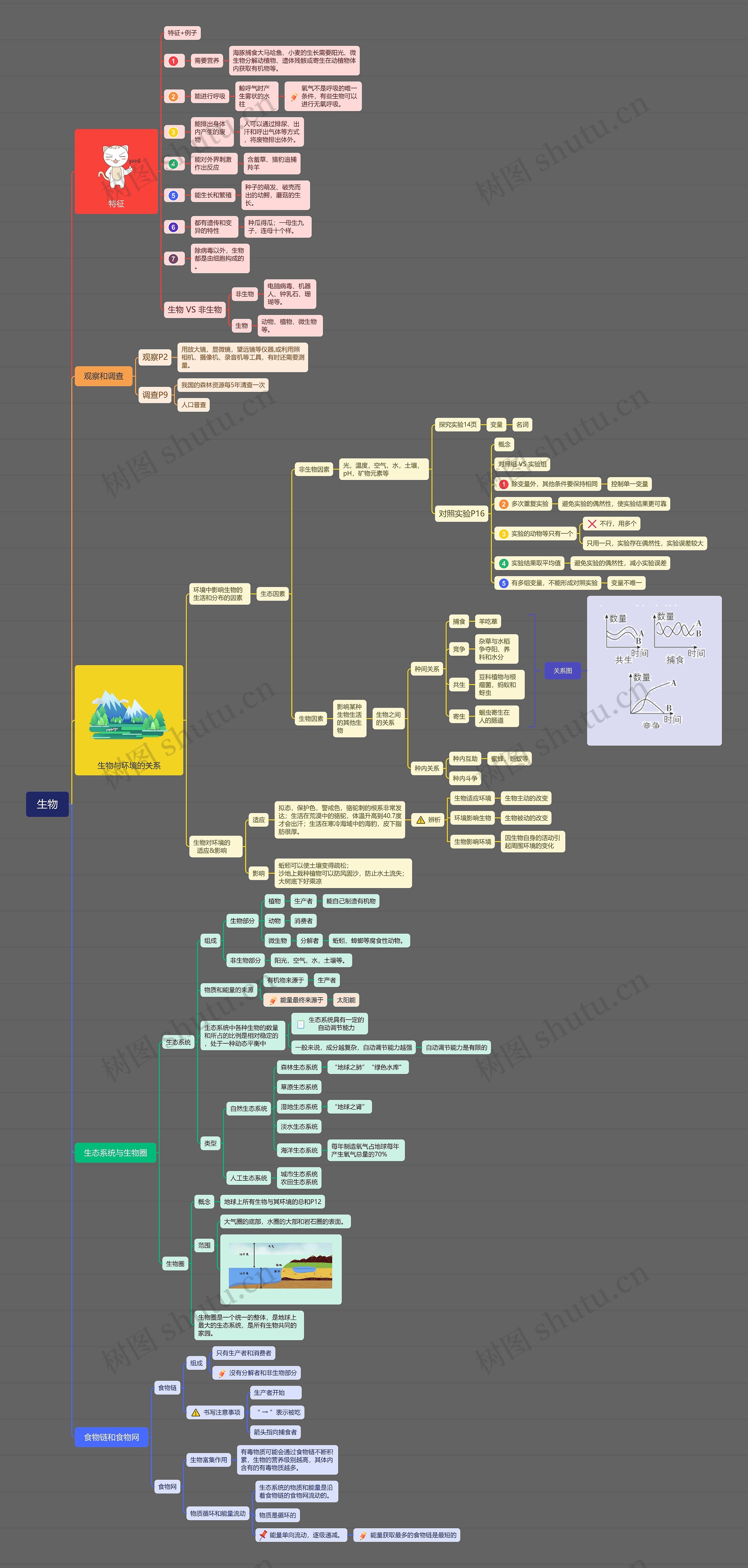 ﻿生物思维导图