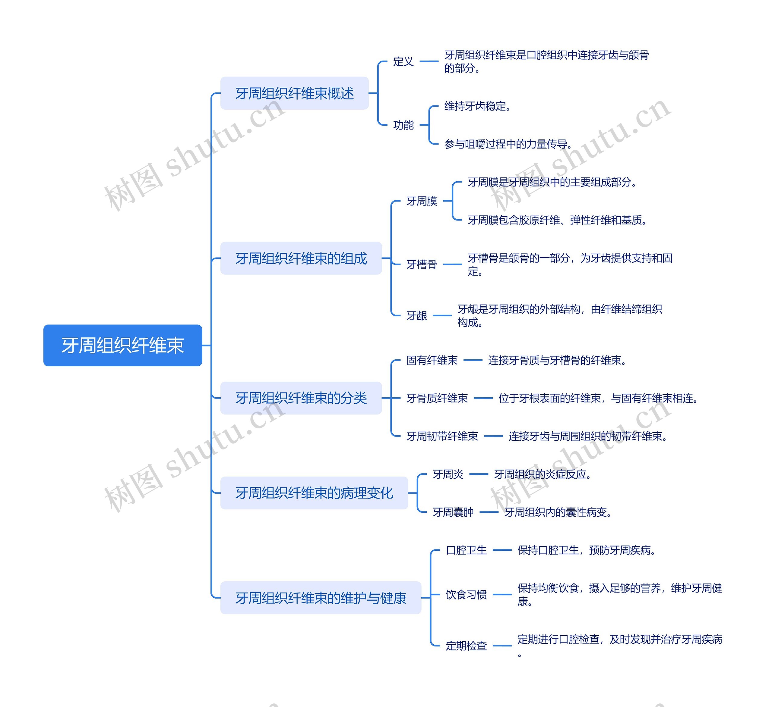 牙周组织纤维束思维导图