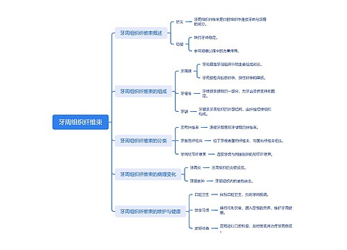 牙周组织纤维束思维导图