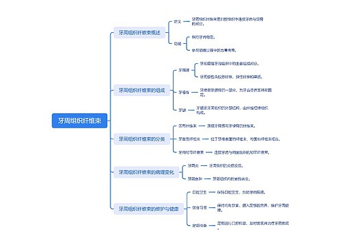 牙周组织纤维束 牙周组织纤维束